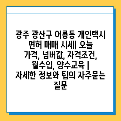 광주 광산구 어룡동 개인택시 면허 매매 시세| 오늘 가격, 넘버값, 자격조건, 월수입, 양수교육 |  자세한 정보와 팁