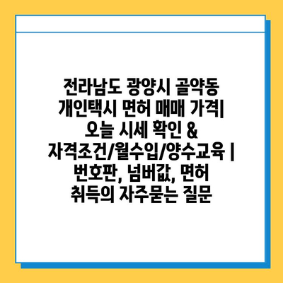 전라남도 광양시 골약동 개인택시 면허 매매 가격| 오늘 시세 확인 & 자격조건/월수입/양수교육 | 번호판, 넘버값, 면허 취득