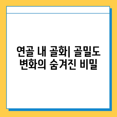 연골 내 골화가 골밀도에 미치는 영향| 심층 분석 및 연구 결과 | 골밀도, 골다공증, 연골, 골화, 건강