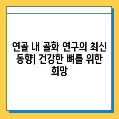 연골 내 골화가 골밀도에 미치는 영향| 심층 분석 및 연구 결과 | 골밀도, 골다공증, 연골, 골화, 건강