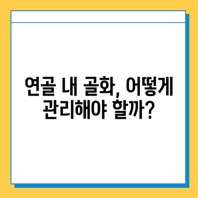 연골 내 골화가 골밀도에 미치는 영향| 심층 분석 및 연구 결과 | 골밀도, 골다공증, 연골, 골화, 건강