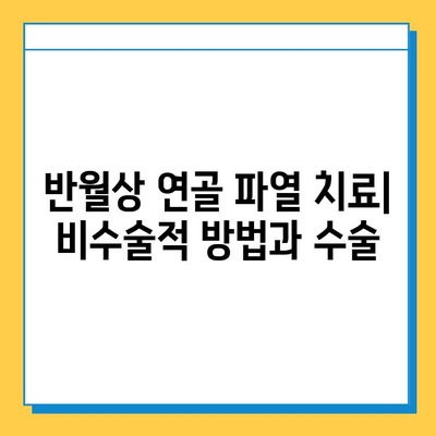 반월상 연골 파열 vs 십자인대 파열| 치료법과 회복 과정 비교 가이드 | 무릎 부상, 운동, 재활