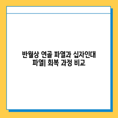 반월상 연골 파열 vs 십자인대 파열| 치료법과 회복 과정 비교 가이드 | 무릎 부상, 운동, 재활