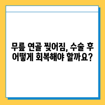 무릎 연골 찢어짐| 나의 회복 여정 | 수술 후 재활, 운동, 일상 생활 팁