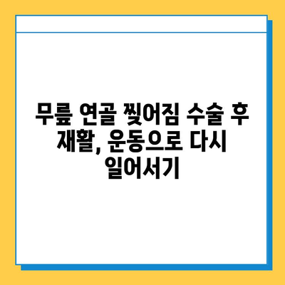 무릎 연골 찢어짐| 나의 회복 여정 | 수술 후 재활, 운동, 일상 생활 팁