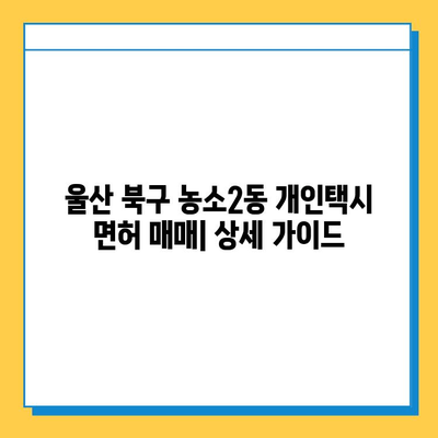 울산 북구 농소2동 개인택시 면허 매매| 오늘 시세, 넘버값, 자격조건, 월수입, 양수교육 | 상세 가이드