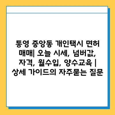 통영 중앙동 개인택시 면허 매매| 오늘 시세, 넘버값, 자격, 월수입, 양수교육 | 상세 가이드