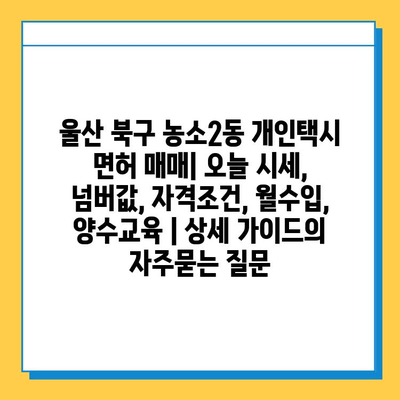 울산 북구 농소2동 개인택시 면허 매매| 오늘 시세, 넘버값, 자격조건, 월수입, 양수교육 | 상세 가이드