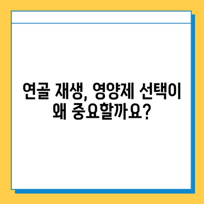 연골 재생, 영양제 선택이 중요한 이유| 나에게 맞는 제품 찾는 팁 | 연골 건강, 관절 건강, 영양제 추천