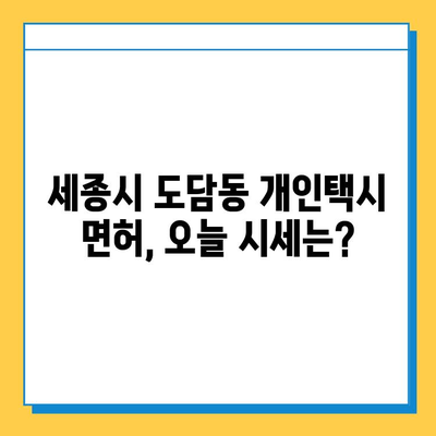 세종시 도담동 개인택시 면허 매매 | 오늘 시세, 넘버값, 자격 조건, 월수입, 양수 교육 | 상세 가이드