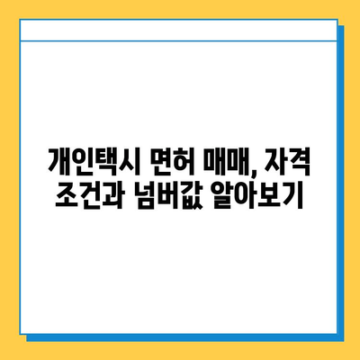 세종시 도담동 개인택시 면허 매매 | 오늘 시세, 넘버값, 자격 조건, 월수입, 양수 교육 | 상세 가이드