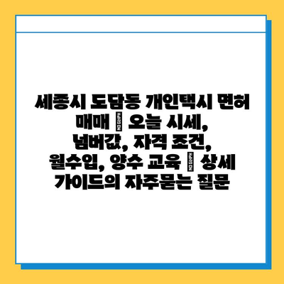 세종시 도담동 개인택시 면허 매매 | 오늘 시세, 넘버값, 자격 조건, 월수입, 양수 교육 | 상세 가이드