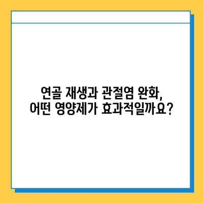 무릎 연골 건강을 위한 관절 통증 영양제 비교 가이드 | 연골 재생, 관절염, 통증 완화, 추천 제품