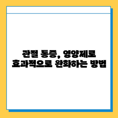 무릎 연골 건강을 위한 관절 통증 영양제 비교 가이드 | 연골 재생, 관절염, 통증 완화, 추천 제품