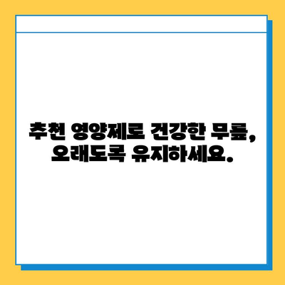 무릎 연골 건강을 위한 관절 통증 영양제 비교 가이드 | 연골 재생, 관절염, 통증 완화, 추천 제품