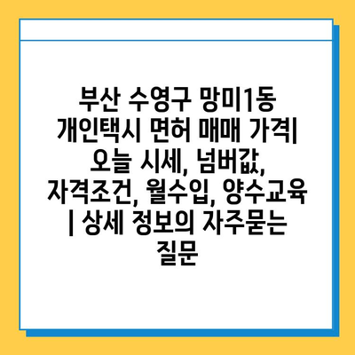 부산 수영구 망미1동 개인택시 면허 매매 가격| 오늘 시세, 넘버값, 자격조건, 월수입, 양수교육 | 상세 정보