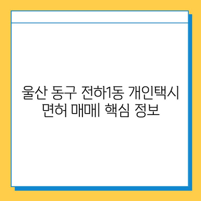 울산 동구 전하1동 개인택시 면허 매매 가격| 오늘 시세 확인 & 자격 조건 | 월수입, 양수 교육, 번호판 넘버값