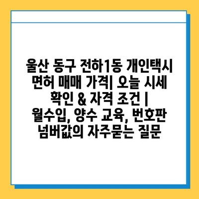 울산 동구 전하1동 개인택시 면허 매매 가격| 오늘 시세 확인 & 자격 조건 | 월수입, 양수 교육, 번호판 넘버값