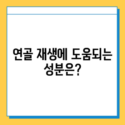 무릎 연골 건강 지키는 효과적인 영양제 추천 | 무릎 통증, 관절 건강, 연골 재생, 추천 제품