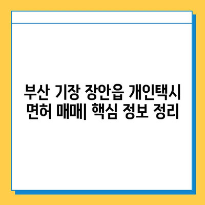 부산 기장 장안읍 개인택시 면허 매매 가격| 오늘 시세, 넘버값, 자격조건, 월수입, 양수교육 | 2023년 최신 정보