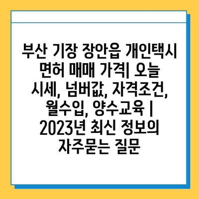 부산 기장 장안읍 개인택시 면허 매매 가격| 오늘 시세, 넘버값, 자격조건, 월수입, 양수교육 | 2023년 최신 정보