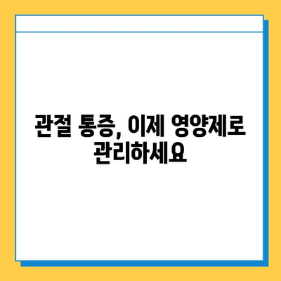 관절연골 영양제 후기| 통증 완화에 효과적인 제품은? | 관절 건강, 연골 재생, 통증 관리, 추천 제품