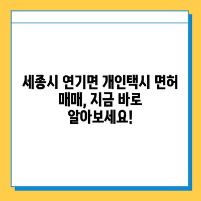 세종시 연기면 개인택시 면허 매매 가격| 오늘 시세 확인 & 양수 교육 | 번호판, 넘버값, 자격조건, 월수입