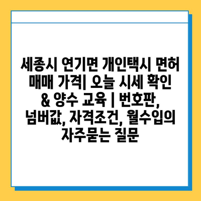 세종시 연기면 개인택시 면허 매매 가격| 오늘 시세 확인 & 양수 교육 | 번호판, 넘버값, 자격조건, 월수입