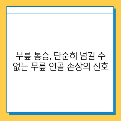 무릎 연골 손상 방치하면? 놓치면 안 될 심각한 문제점 5가지 | 무릎 통증, 관절염, 수술, 재활