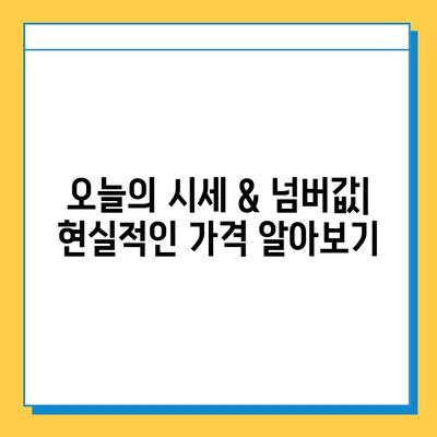 강원도 강릉시 강남동 개인택시 면허 매매 | 오늘 시세, 넘버값, 자격 조건, 월수입, 양수 교육 | 상세 가이드