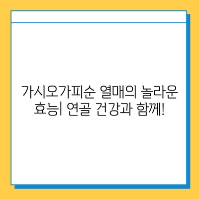 가시오가피순 열매의 연골 건강 관리 효과| 복합적인 효능과 함께 | 가시오가피, 연골, 건강, 효능, 복합 관리