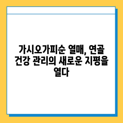 가시오가피순 열매의 연골 건강 관리 효과| 복합적인 효능과 함께 | 가시오가피, 연골, 건강, 효능, 복합 관리