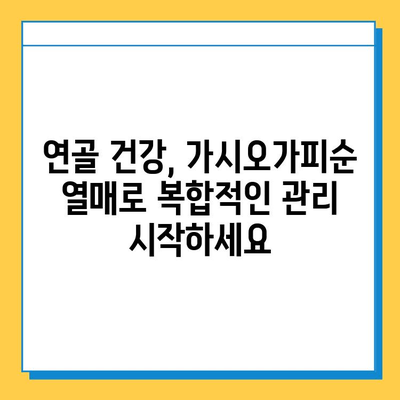 가시오가피순 열매의 연골 건강 관리 효과| 복합적인 효능과 함께 | 가시오가피, 연골, 건강, 효능, 복합 관리