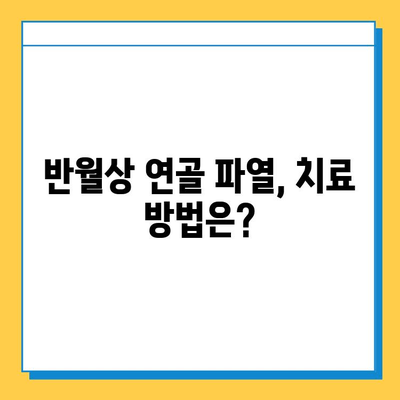 무릎 구부리기 시 통증? 반월상 연골 파열 의심 증상과 치료법 | 무릎 통증, 관절, 운동, 재활