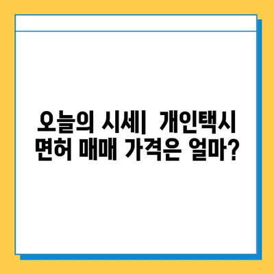 대구 수성구 고산1동 개인택시 면허 매매 가격| 오늘 시세 확인 & 자격조건 | 월수입 & 양수 교육 | 번호판 가격