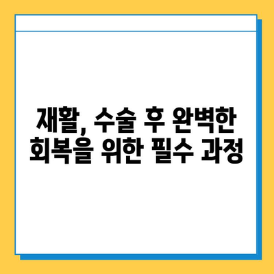 삼각섬유연골복합체 손상 수술 치료| 완벽 가이드 |  증상, 치료법, 재활, 주의사항