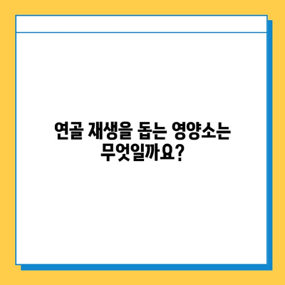 무릎 연골 건강 지키는 효과적인 영양제 선택 가이드 | 연골 재생, 관절 건강, 무릎 통증 완화