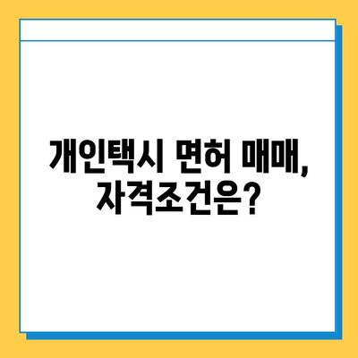 대전 서구 갈마1동 개인택시 면허 매매 가격| 오늘 시세 확인 & 자격조건 | 월수입 | 양수교육