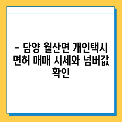 전라남도 담양군 월산면 개인택시 면허 매매| 오늘 시세 & 넘버값 | 자격조건, 월수입, 양수교육