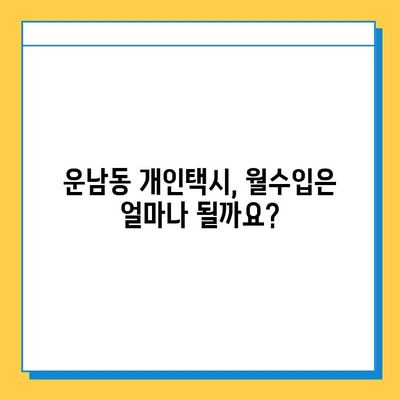 광주 광산구 운남동 개인택시 면허 매매 가격| 오늘 시세, 넘버값, 자격조건, 월수입, 양수교육 | 상세 정보