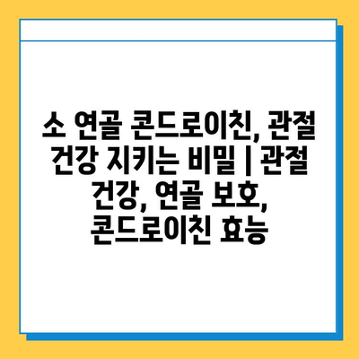 소 연골 콘드로이친, 관절 건강 지키는 비밀 | 관절 건강, 연골 보호, 콘드로이친 효능