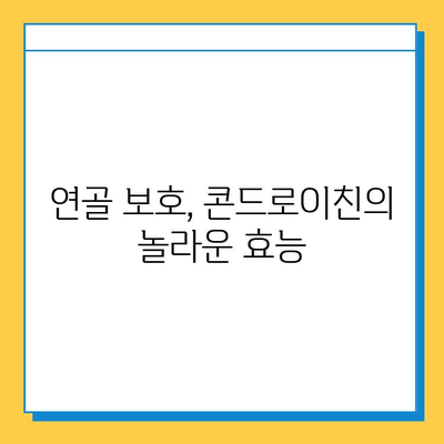 소 연골 콘드로이친, 관절 건강 지키는 비밀 | 관절 건강, 연골 보호, 콘드로이친 효능