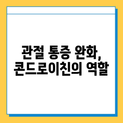 소 연골 콘드로이친, 관절 건강 지키는 비밀 | 관절 건강, 연골 보호, 콘드로이친 효능