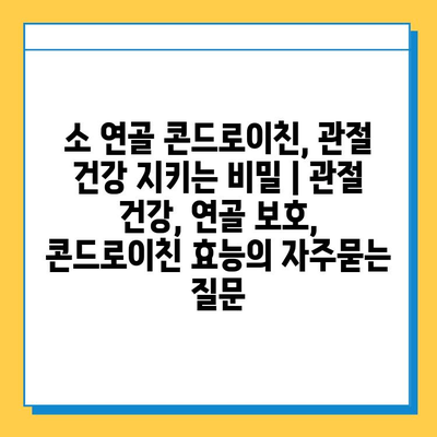 소 연골 콘드로이친, 관절 건강 지키는 비밀 | 관절 건강, 연골 보호, 콘드로이친 효능