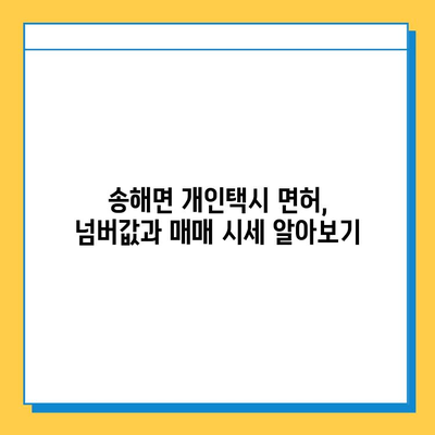 인천 강화군 송해면 개인택시 면허 매매 가격| 오늘 시세, 넘버값, 자격조건, 월수입, 양수교육 | 상세 정보