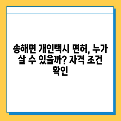 인천 강화군 송해면 개인택시 면허 매매 가격| 오늘 시세, 넘버값, 자격조건, 월수입, 양수교육 | 상세 정보