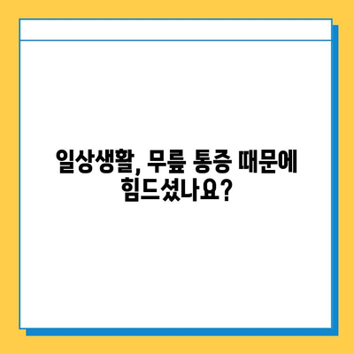 무릎 관절 연골영양제 체감 후기| 실제 효과는? | 무릎 통증, 연골 재생, 관절 건강