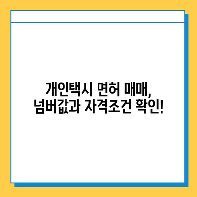 대구 달성군 논공읍 개인택시 면허 매매 가격| 오늘 시세, 넘버값, 자격조건, 월수입, 양수교육 | 상세 정보