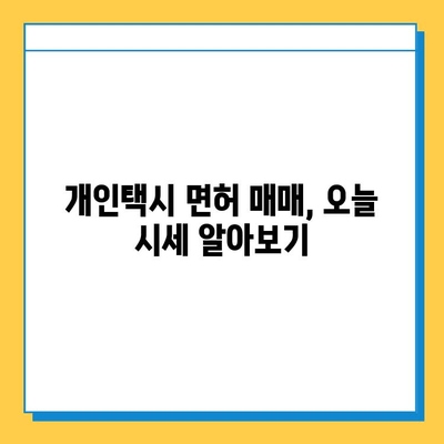 대구 달성군 논공읍 개인택시 면허 매매 가격| 오늘 시세, 넘버값, 자격조건, 월수입, 양수교육 | 상세 정보