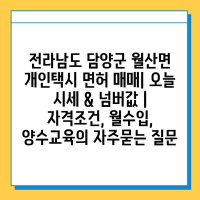 전라남도 담양군 월산면 개인택시 면허 매매| 오늘 시세 & 넘버값 | 자격조건, 월수입, 양수교육